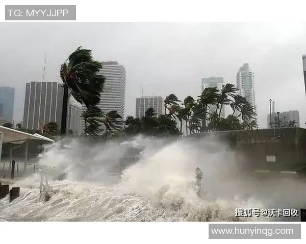 全球气候变化加剧极端天气频发 专家呼吁加强全球应对合作