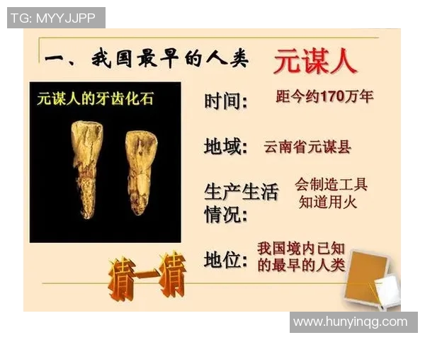 欧洲杯赛事背后的历史与传奇：从起源到现代足球的辉煌之路